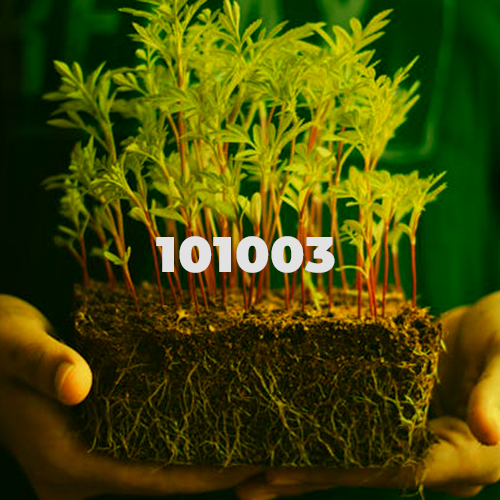 sliki_za_predizvici-R12121ecovered